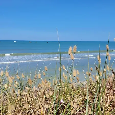 L'aloe, Jolie Maison De Bord De *