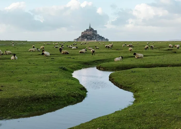 בית נופש L'aloe *