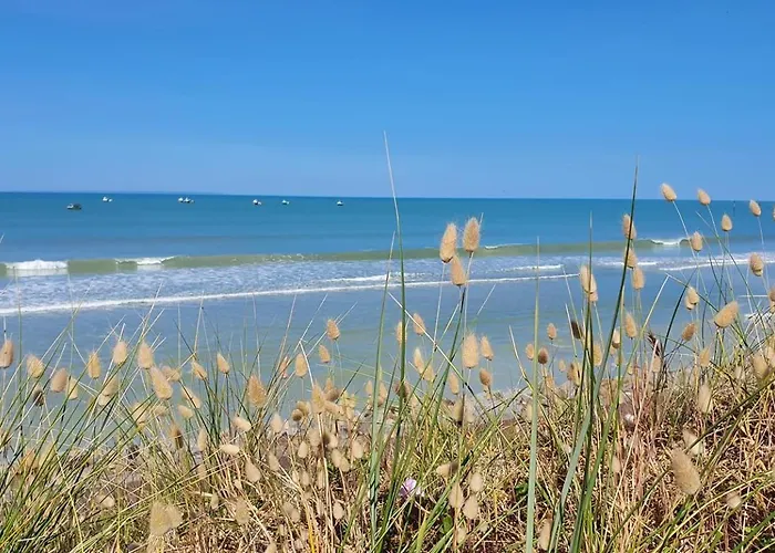L'aloé, Jolie Maison De Bord De *